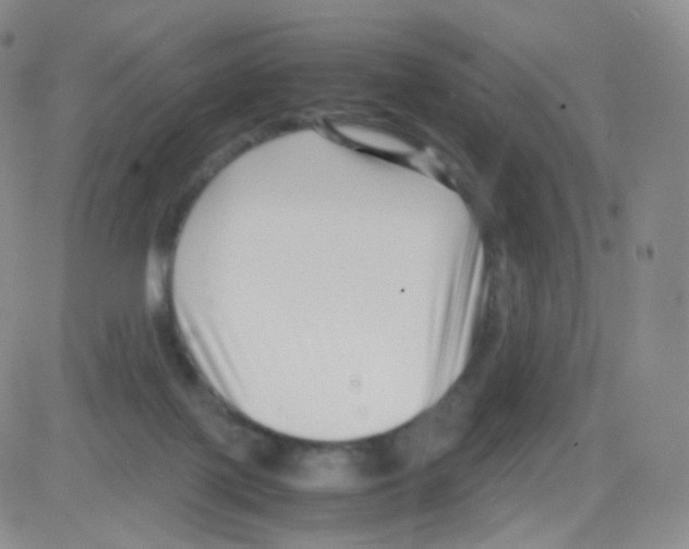 X0000082700075200702232241