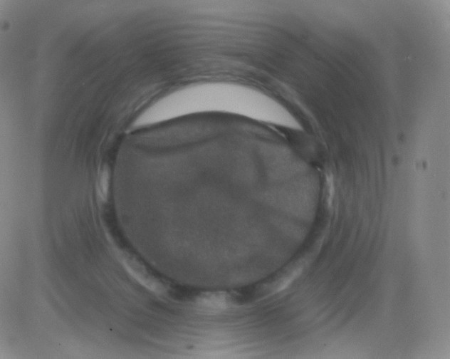 X0000082700076200702232241