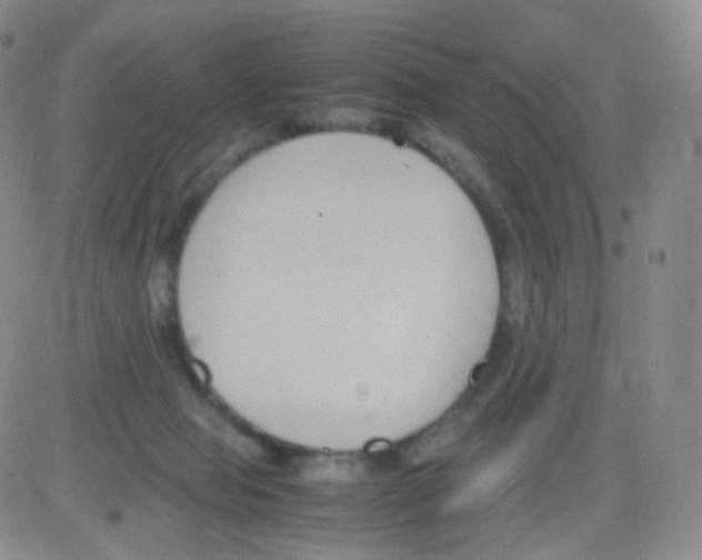 X0000082700077200702232241