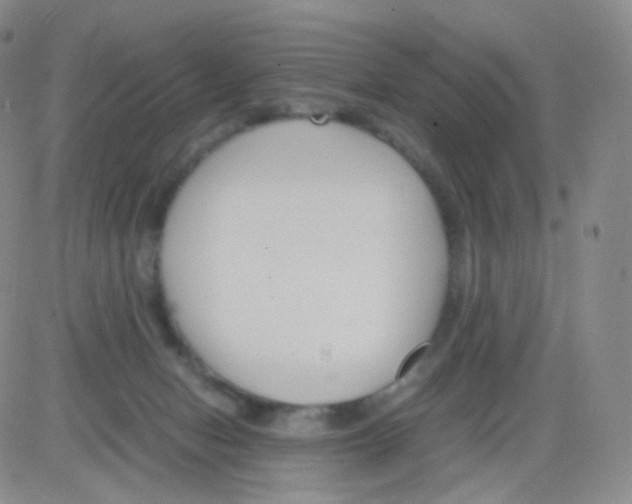 X0000082700078200702232241