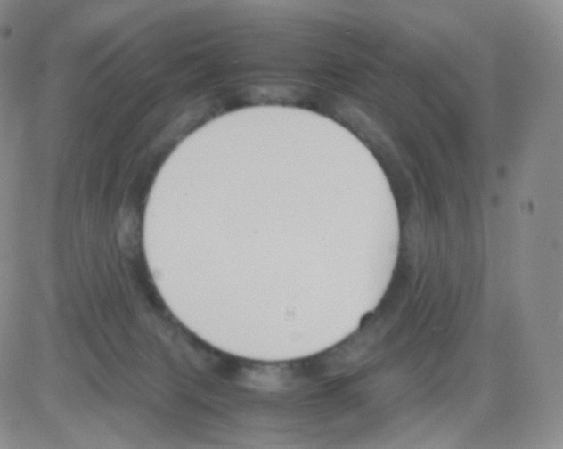 X0000082700079200702232241