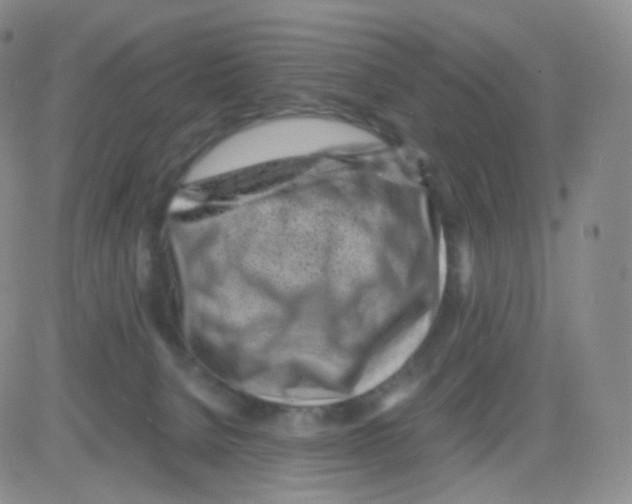 X0000082700080200702232241