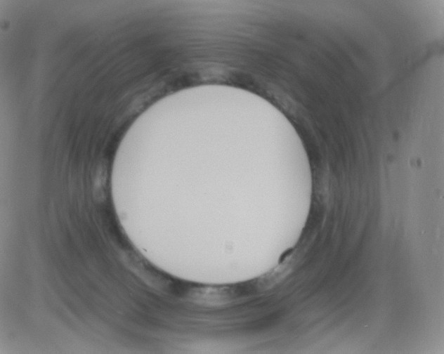 X0000082700082200702232241