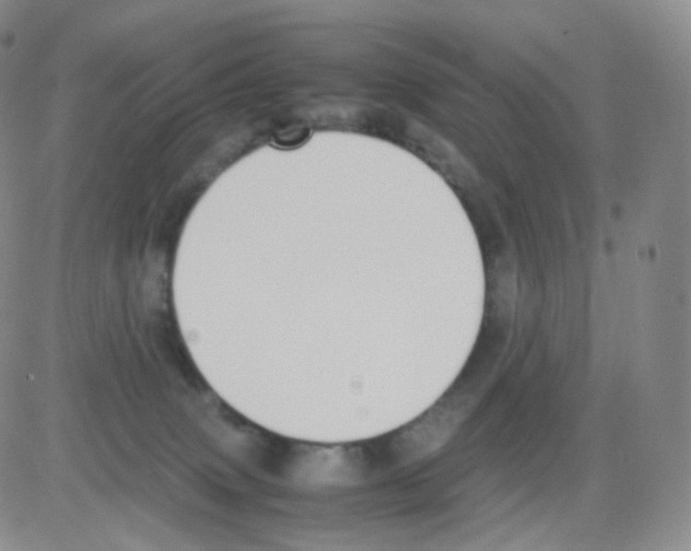 X0000082700083200702232241