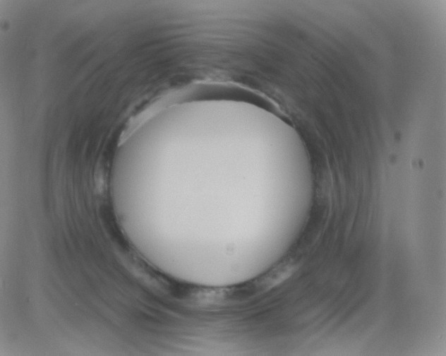 X0000082700084200702232241