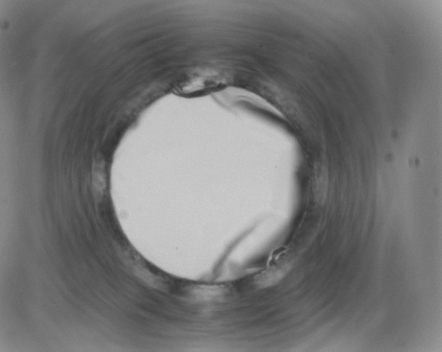 X0000082700085200702232241