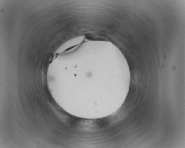 X0000082700086200702232241