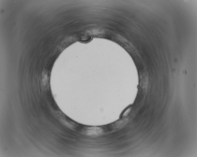 X0000082700087200702232241