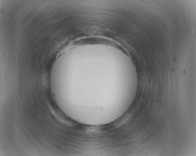 X0000082700088200702232241