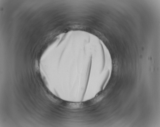 X0000082700089200702232241