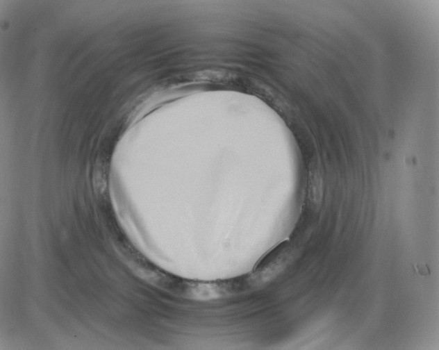 X0000082700091200702232241