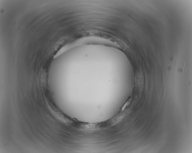 X0000082700092200702232241