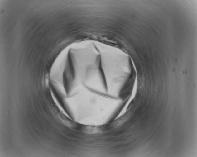 X0000082700095200702232241