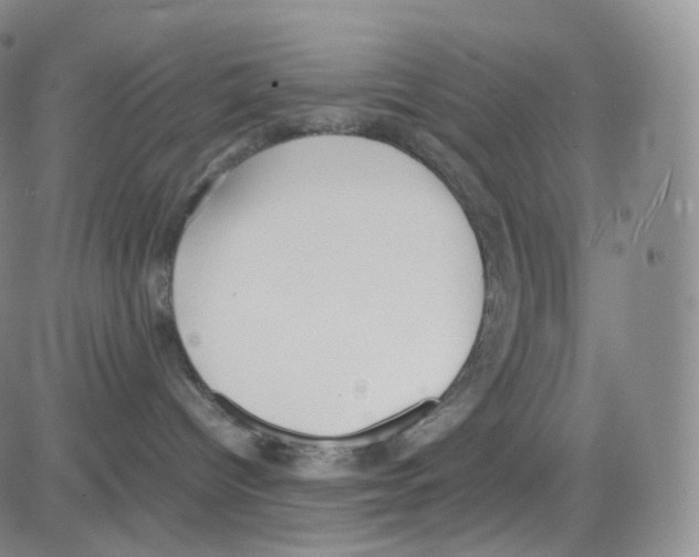 X0000082700096200702232241