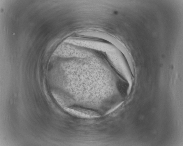 X0000082700097200702232240