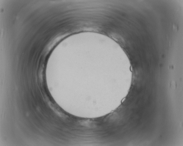 X0000082700098200702232240