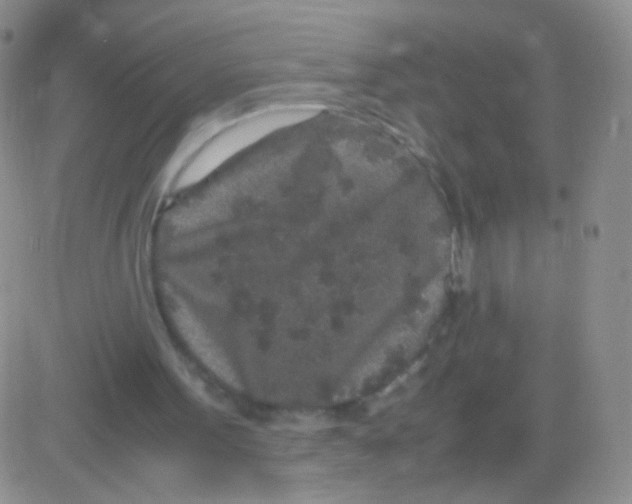 X0000082700099200702232240