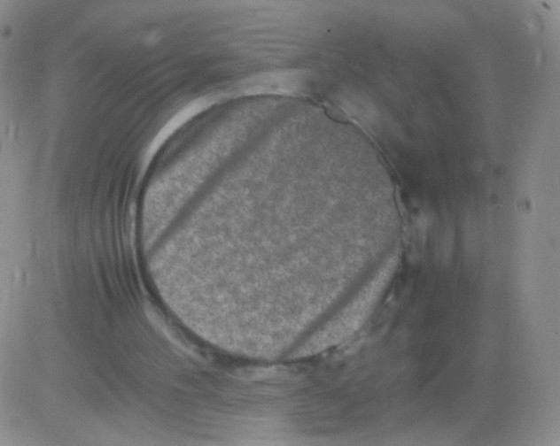 X0000082700100200702232240