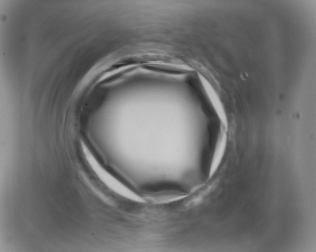 X0000082700101200702232240