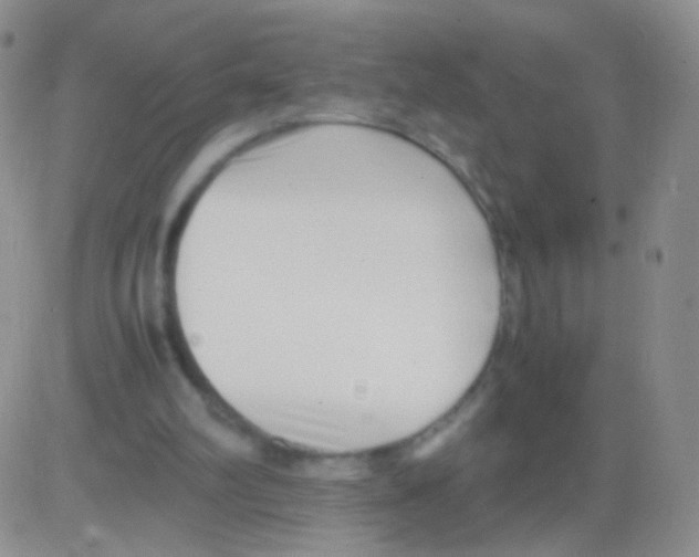 X0000082700102200702232240