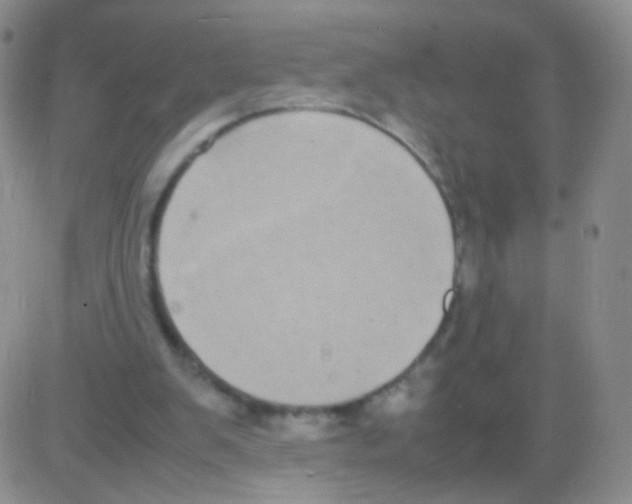 X0000082700103200702232240