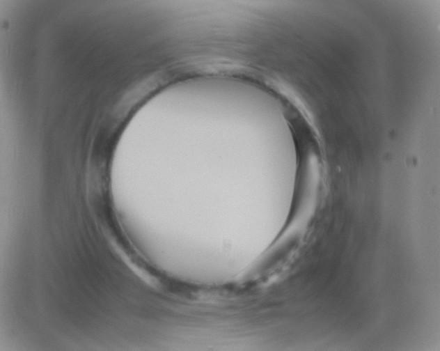 X0000082700105200702232240