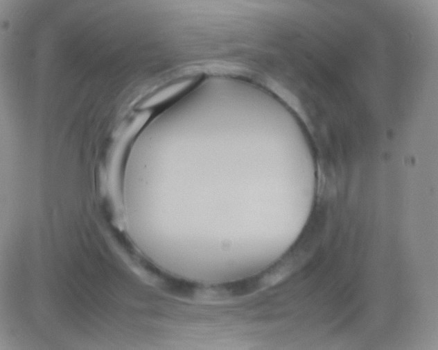 X0000082700109200702232240