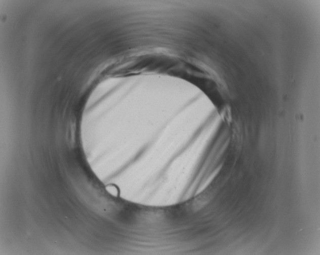 X0000082700110200702232240