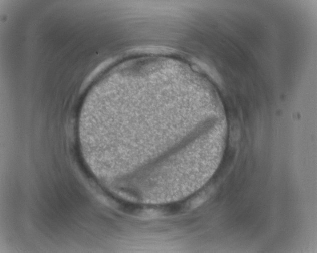 X0000082700111200702232240