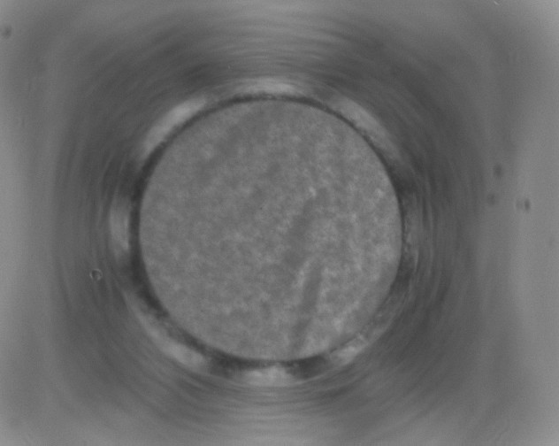 X0000082700112200702232240