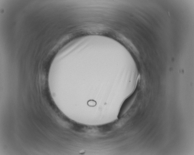 X0000082700113200702232240