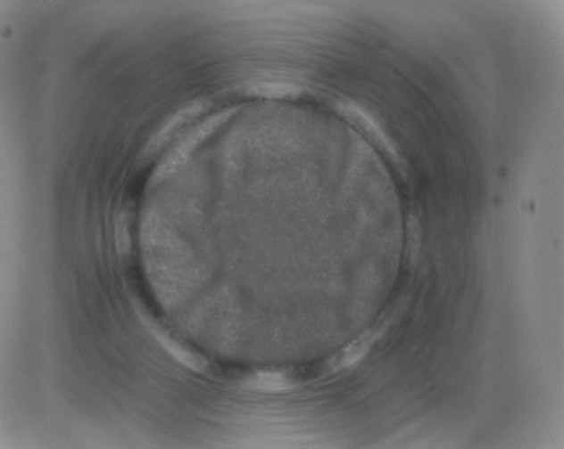 X0000082700114200702232240