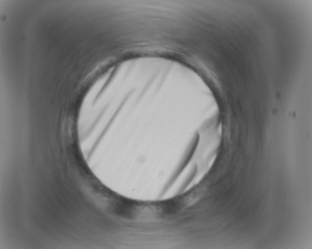 X0000082700115200702232240