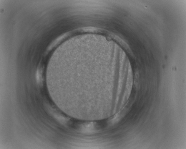 X0000082700116200702232240