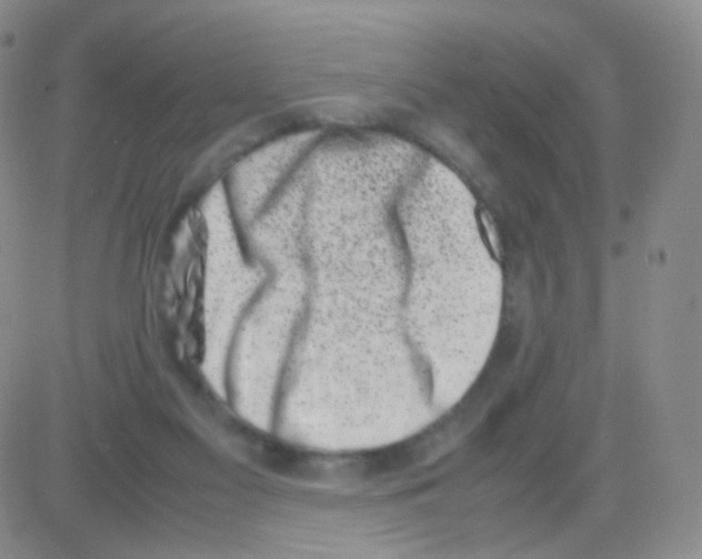 X0000082700117200702232240