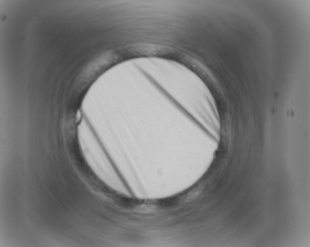 X0000082700119200702232240