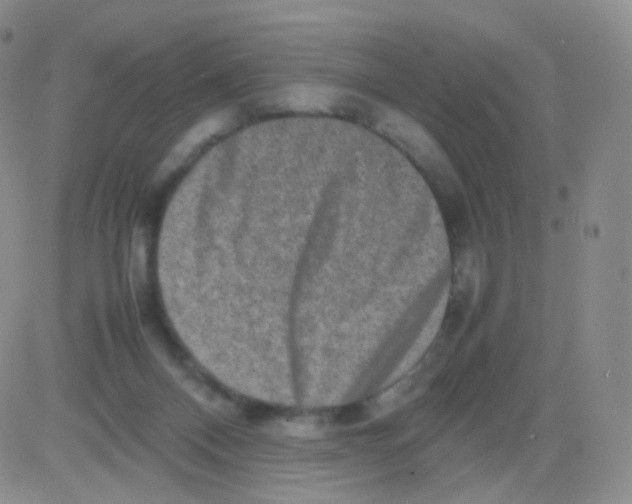 X0000082700120200702232240