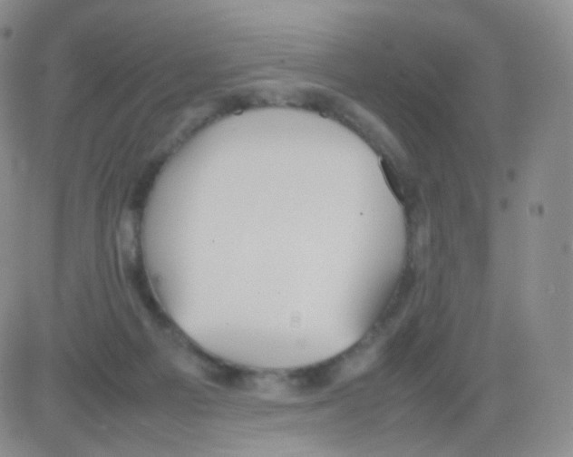 X0000082700121200702232240