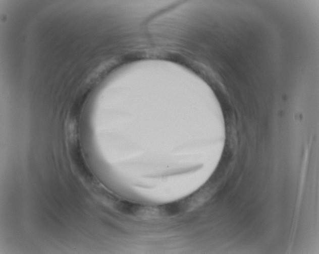 X0000082700123200702232240