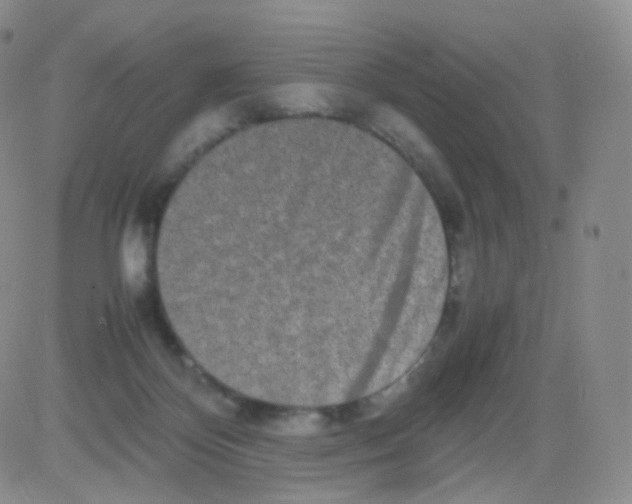 X0000082700124200702232240