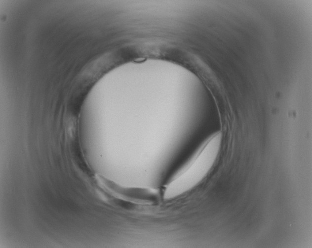 X0000082700125200702232240