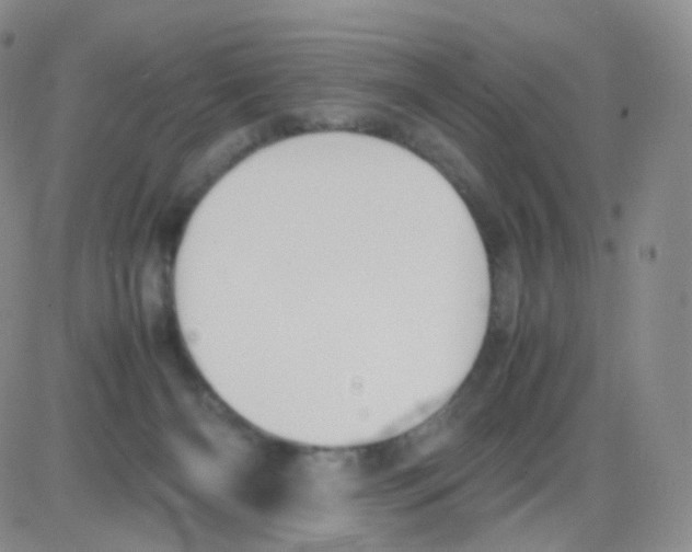 X0000082700126200702232240