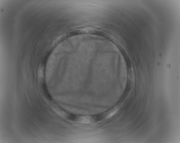 X0000082700127200702232240