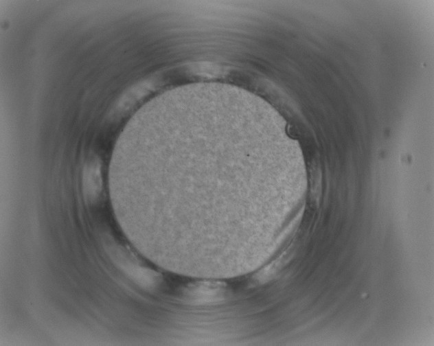 X0000082700128200702232240