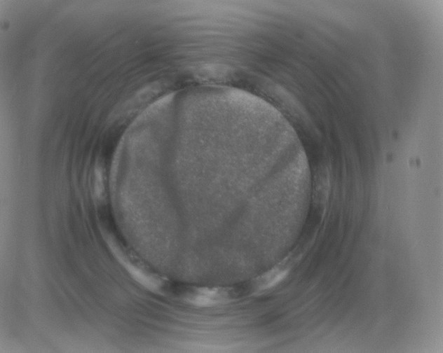 X0000082700130200702232240