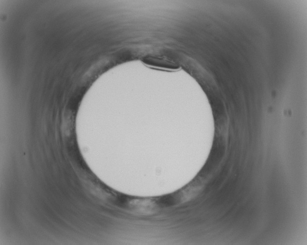 X0000082700133200702232240