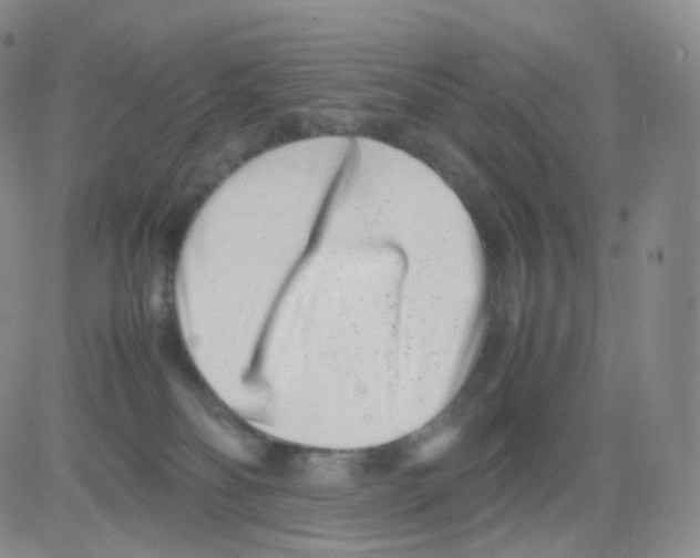 X0000082700134200702232240