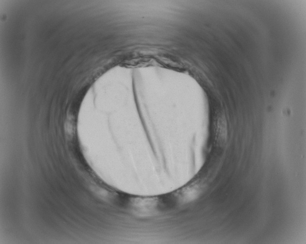 X0000082700135200702232240