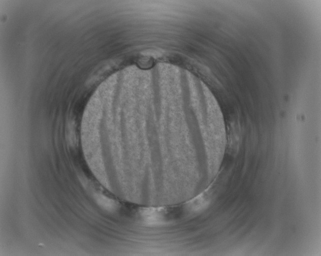 X0000082700136200702232240