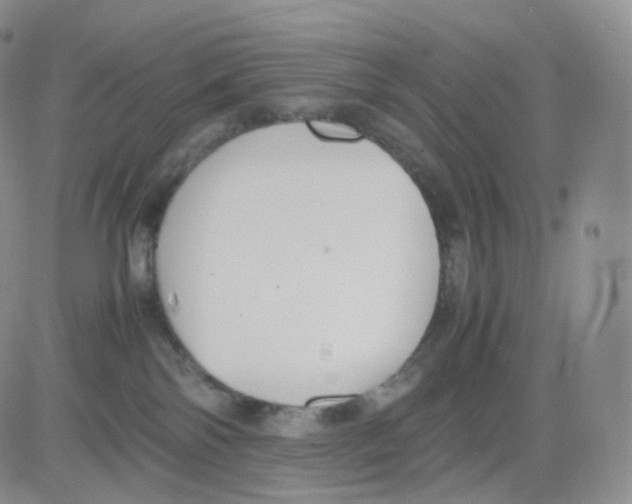 X0000082700138200702232240